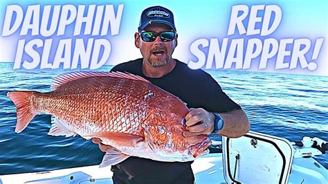 SHARK INFESTED REEF LOADED RED SNAPPER GROUPER AMBERJACK DAUPHIN