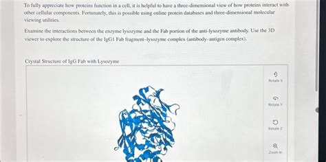 Solved To Fully Appreciate How Proteins Function In A Cell Chegg