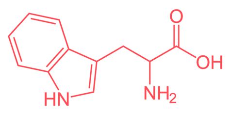 Tryptophan Metabolon