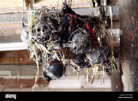 Iban Tribe Trophy Skulls Inside Rumah Bundong A Traditional Iban