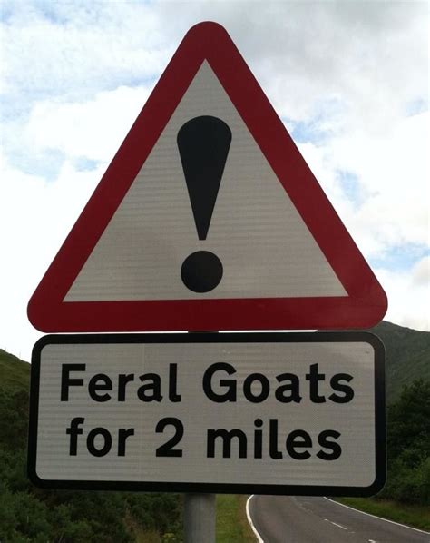 21 Truly Wtf Signs That Scotland Needs To Explain Right Now Scotland