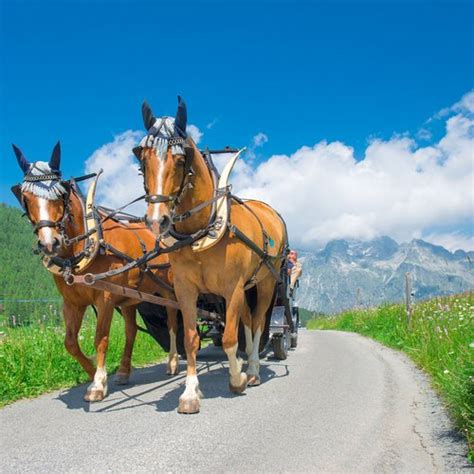 Luxury car rental St. Moritz: Ferrari, Bentley, Rolls-Royce, more