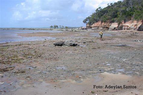 Geologia Marinha E Costeira Eros O Costeira Alagoas