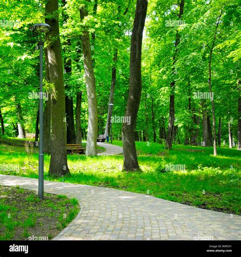 summer park with beautiful walking paths Stock Photo - Alamy