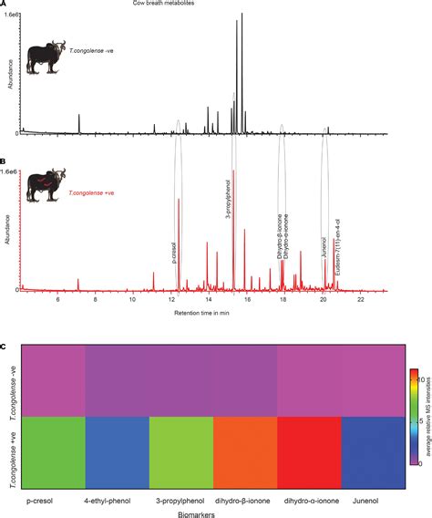 Frontiers Metabolites From Trypanosome Infected Cattle As Sensitive