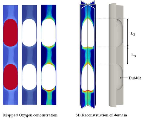 PDF Experimental Visualisation Of Mass Transfer Around The Bubble