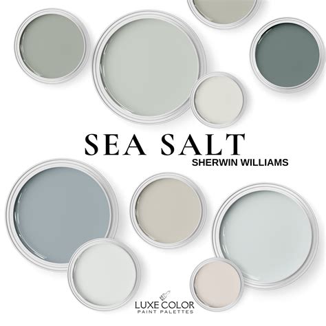 Living Room Sherwin Williams Sea Salt Sherwin Williams Sea Salt SW