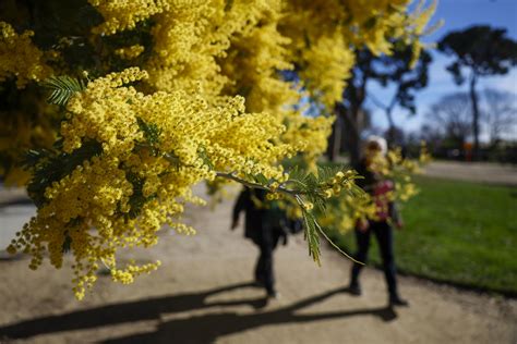 Cuándo empieza la primavera en 2024 Cómo