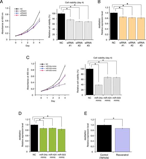Resveratrol-mediated down-regulation of HNRNPA1 expression inhibited ... 