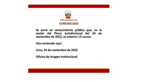 Pleno Del Tc Resolvi Dos Procesos De Inconstitucionalidad Caso De Las