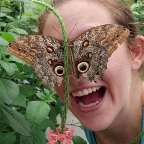 Фотографии сделанные в нужный момент XIII