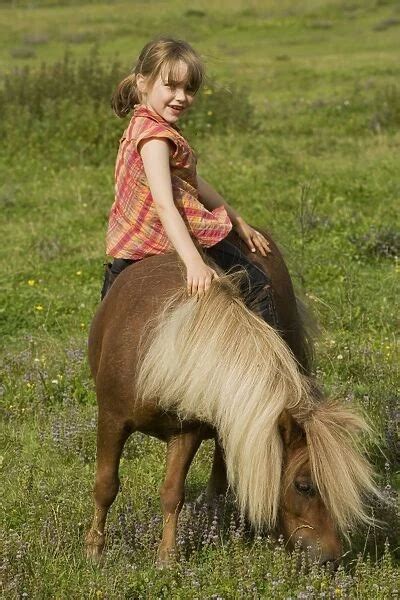 Young girl riding Shetland Pony (Photos Puzzles, Prints, Cards, Framed ...