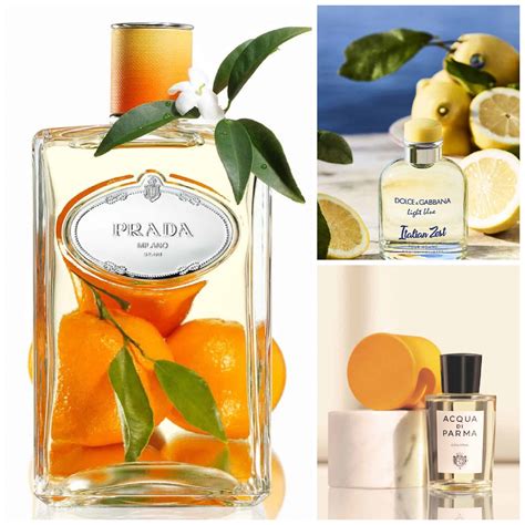 Countries Renowned for Their Exquisite Fragrances