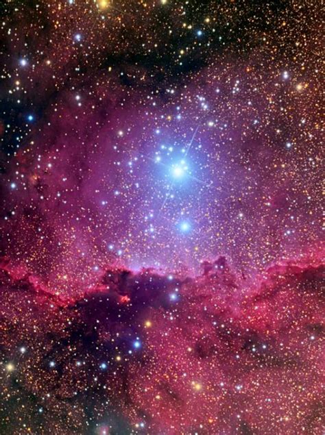 NGC6188 and NGC 6193 in Ara | Space and astronomy, Galaxies, Nebula