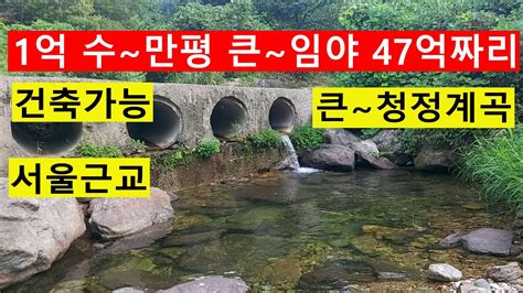 1억 서울근교 첩첩산속 큰~계곡 보전계획3100평포함 수~만평싼임야 전원생활 숲야영장숲카페 숲경영 숲가치9742억 탄소권6025