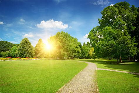 Royalty Free Sunny Park Pictures Images And Stock Photos Istock