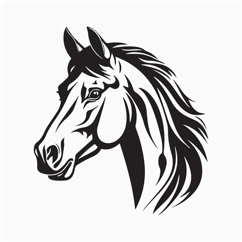 Horse Head vector 34978511 Vector Art at Vecteezy