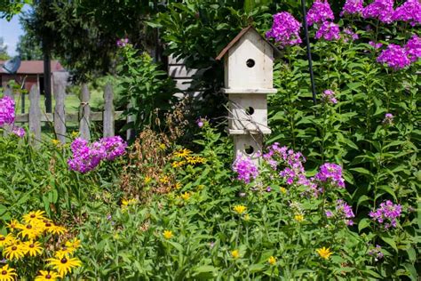 12 Brilliant Tips for Creating a Bird Friendly Flower Garden - Gingham ...