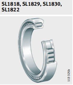 Ina Sl Full Complement Cylindrical Roller Bearing X X Mm