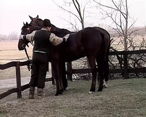 I Moschettieri Del Re Sc Hot Kinky Milf Amateur Porn Feat Desire Vinci Xhamster