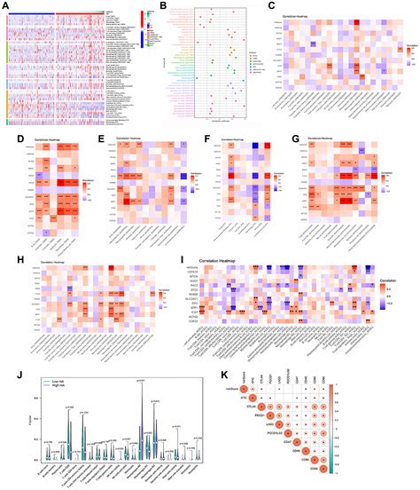 Identification And Validation Of Slco C As A Biological Marker In