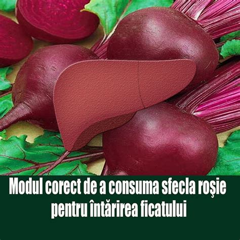 Modul Corect De A Consuma Sfecla Ro Ie Pentru Nt Rirea Ficatului