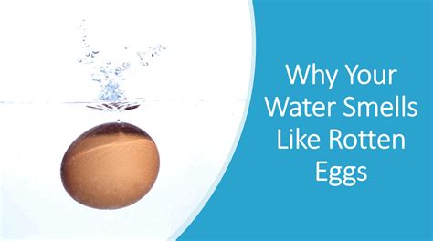 How to Fix that Rotten Egg Smell In Your Water - Cpazo.com