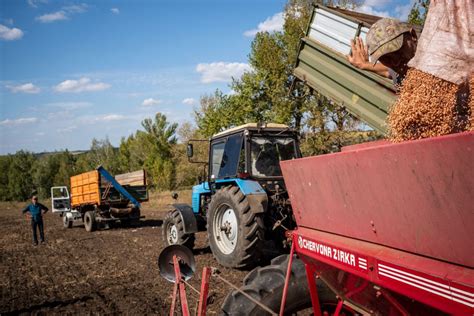 Ukrainian Farmers Sow Million Hectares Of Winter Crops But Volumes