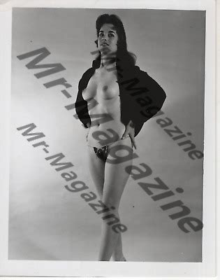 Brunette Lingerie Model x Photo Vintage Sexy Cheesecake Risqué Pinup QE eBay