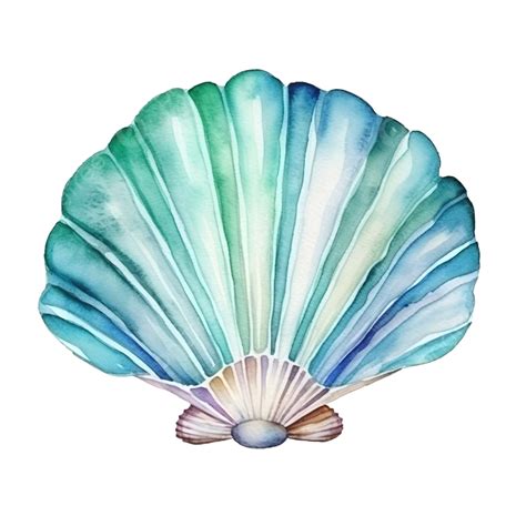 Watercolor Shell Sea Ocean Watercolor Shell Shellfish Png