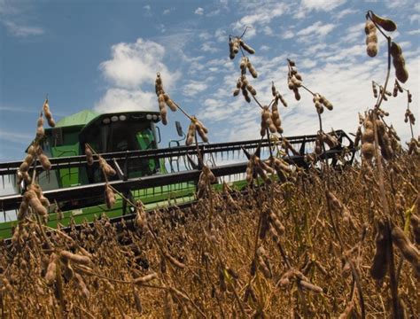 Brazil foresees partnerships with China in agriculture | Economy ...