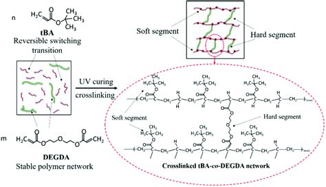 Photopolymerization In D Printing Acs Applied Polymer