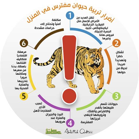 في بيتنا حيوان مفترس أخبار السعودية صحيفة عكاظ