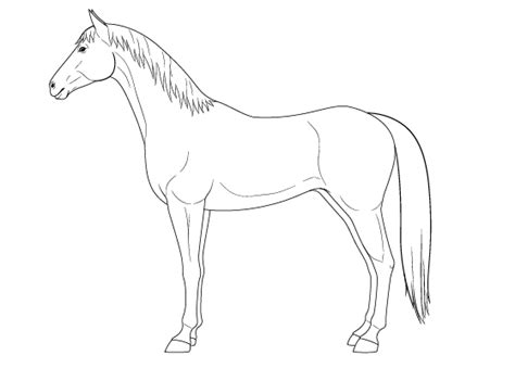 Simple Easy Horse Drawing Step By Step