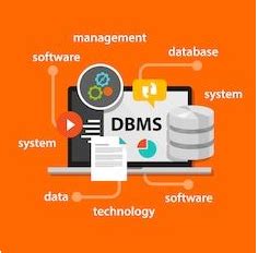 Best Database Management Systems For Software Developers