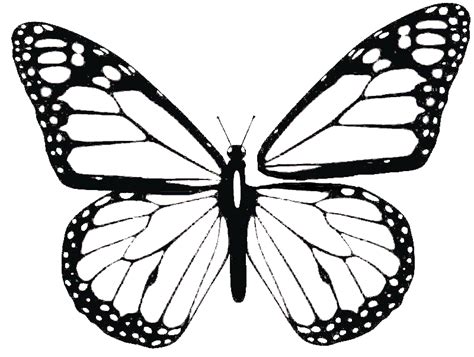 Butterfly Wing Patterns - ClipArt Best