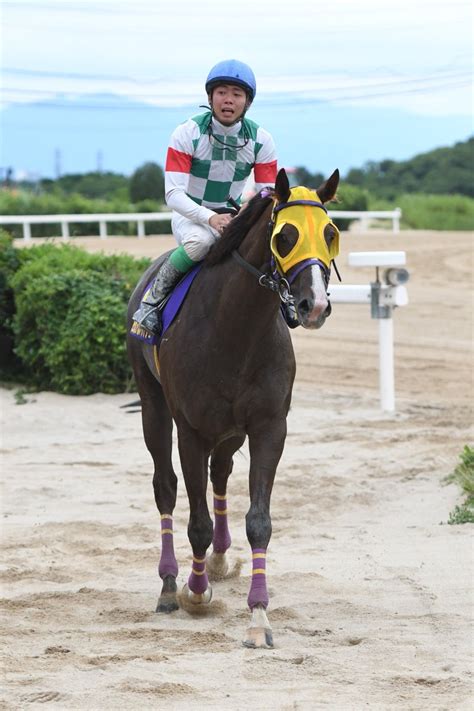 地方競馬全国協会 NAR 公式 on Twitter 佐賀がばいダッシュ 1着はスーパースナッズ本日佐賀競馬場で行われた第5回佐賀が