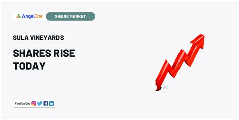 Shares Of Sula Vineyards Rise Today Here S Why