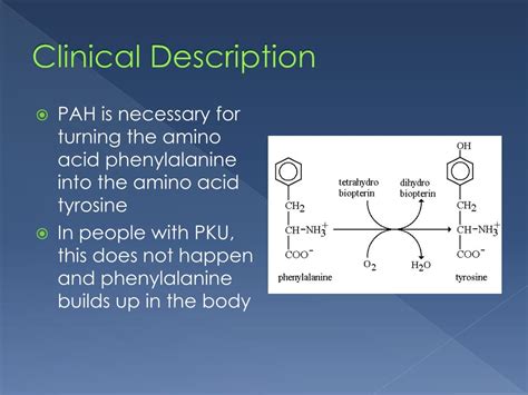 Ppt Phenylketonuria Pku Powerpoint Presentation Free Download Id