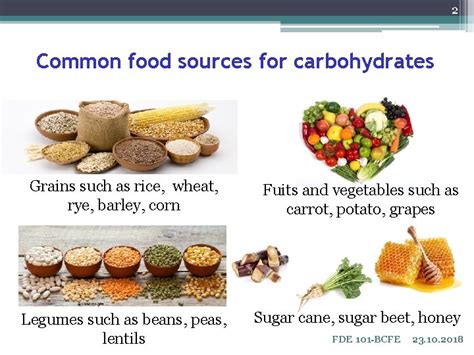 carbohydrates   main food component carbohydrates