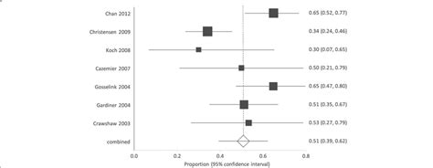 Proportion Meta Analysis Plot Random Effects Forest Plot Showing