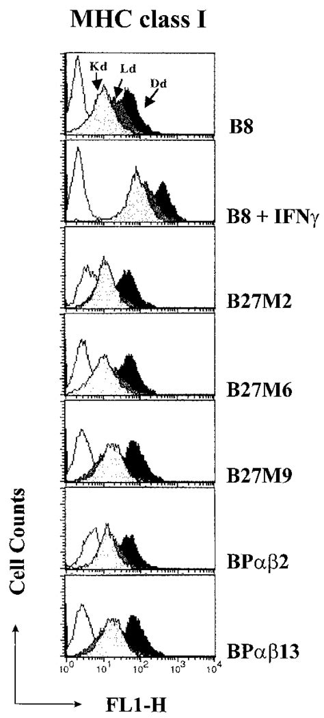 Flow Cytometric Analysis Of MHC Class I Cell Surface Expression Of