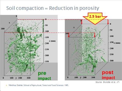 Understanding Soil Compaction Field Crop News