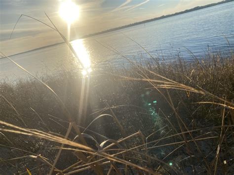 High Tides Beach Delivery | Wilmington NC