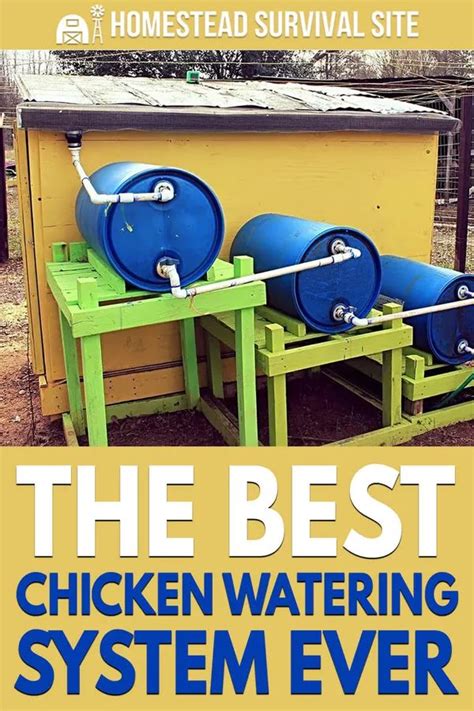 The Best Chicken Watering System Ever Chicken Watering System