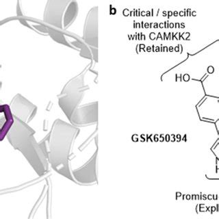 A Binding Mode Of The Co Crystallized Ligand GSK650394 In The