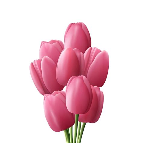 Premium Vector Flower Tulip Realistic Isolated On White Background