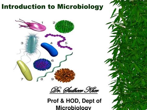 PPT Introduction To Microbiology PowerPoint Presentation Free