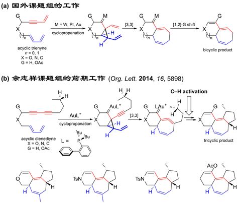 余志祥课题组：金催化的双烯双炔环化异构化反应进展科研进展北京大学化学与分子工程学院