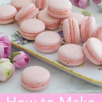 Macaron Recipe - Preppy Kitchen